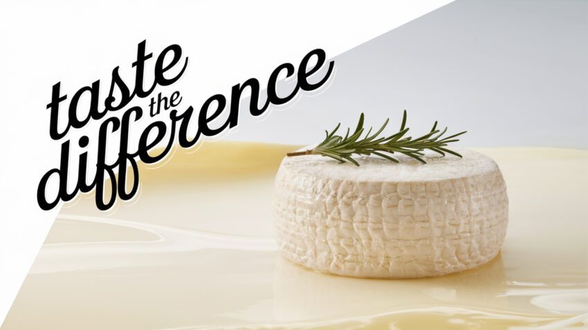 Goat Cheese Production A Best Guide