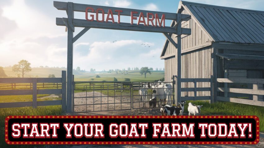 How to Start Goat Farming in the USA