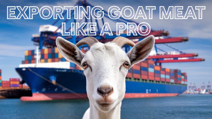 How To Start Goat Meat Export Business