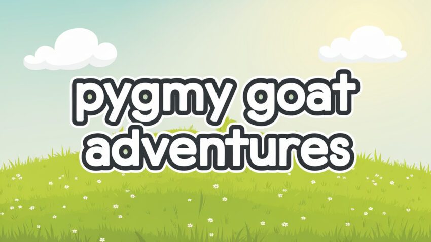 pygmy goat farming