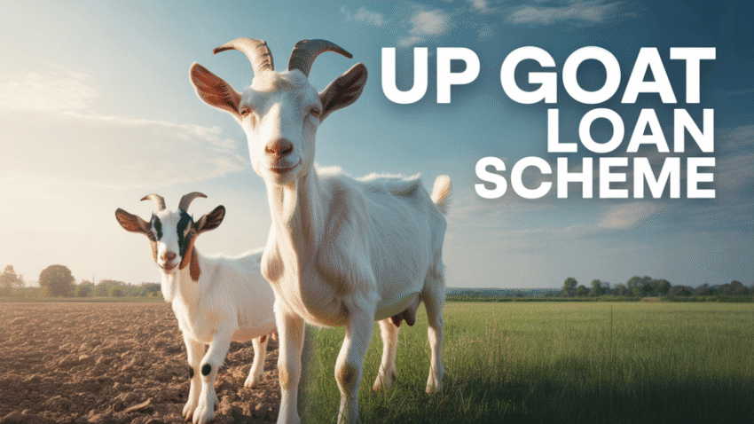 goat farming subsidy in up